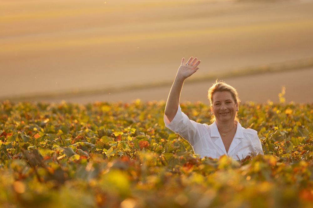 reportage-vendanges-champagne-20_resultat